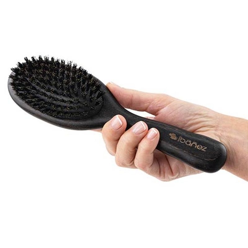 Bristles Brush, Ibanez